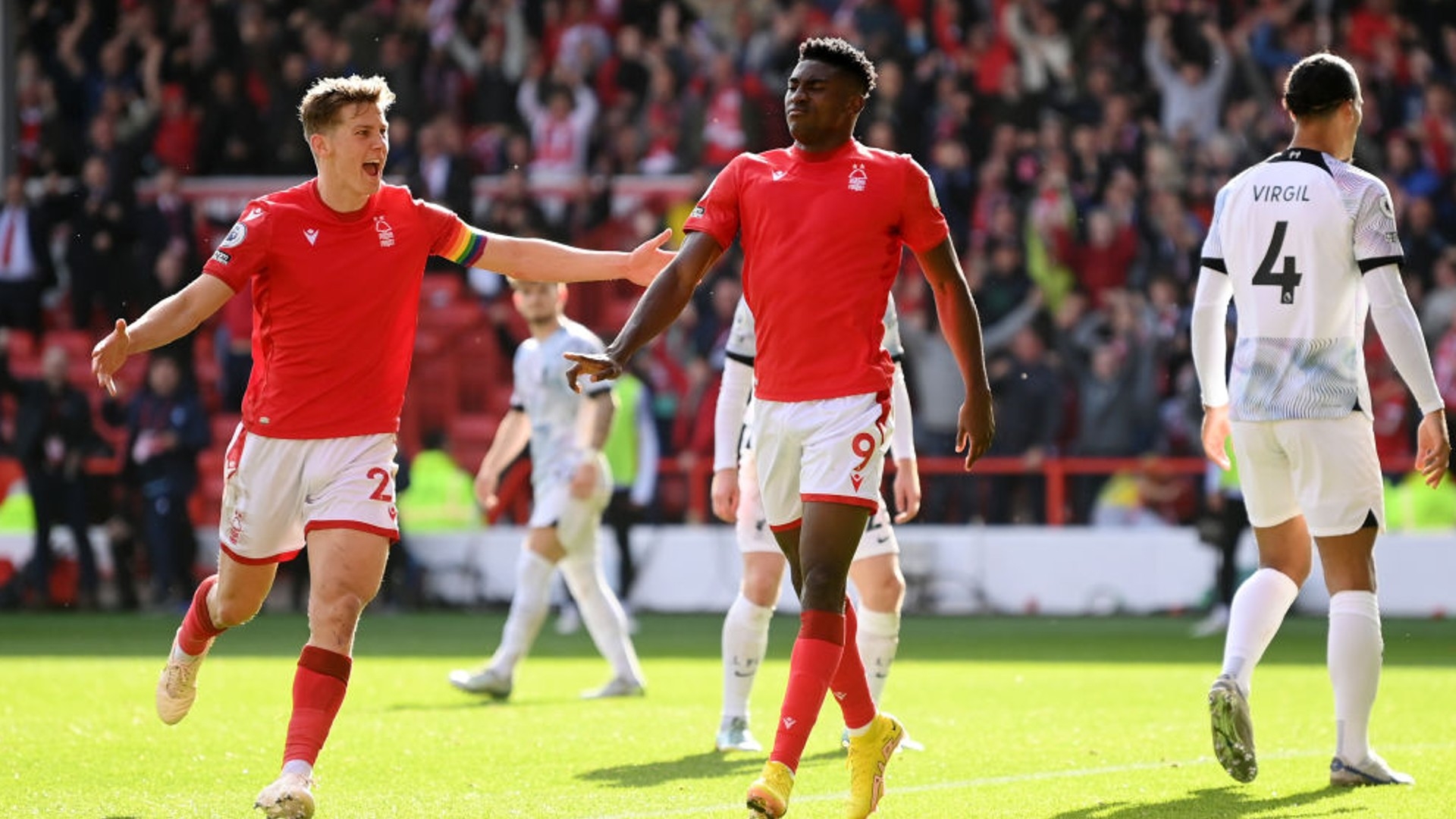 鹈鹕的第二 鹈鹕的第二